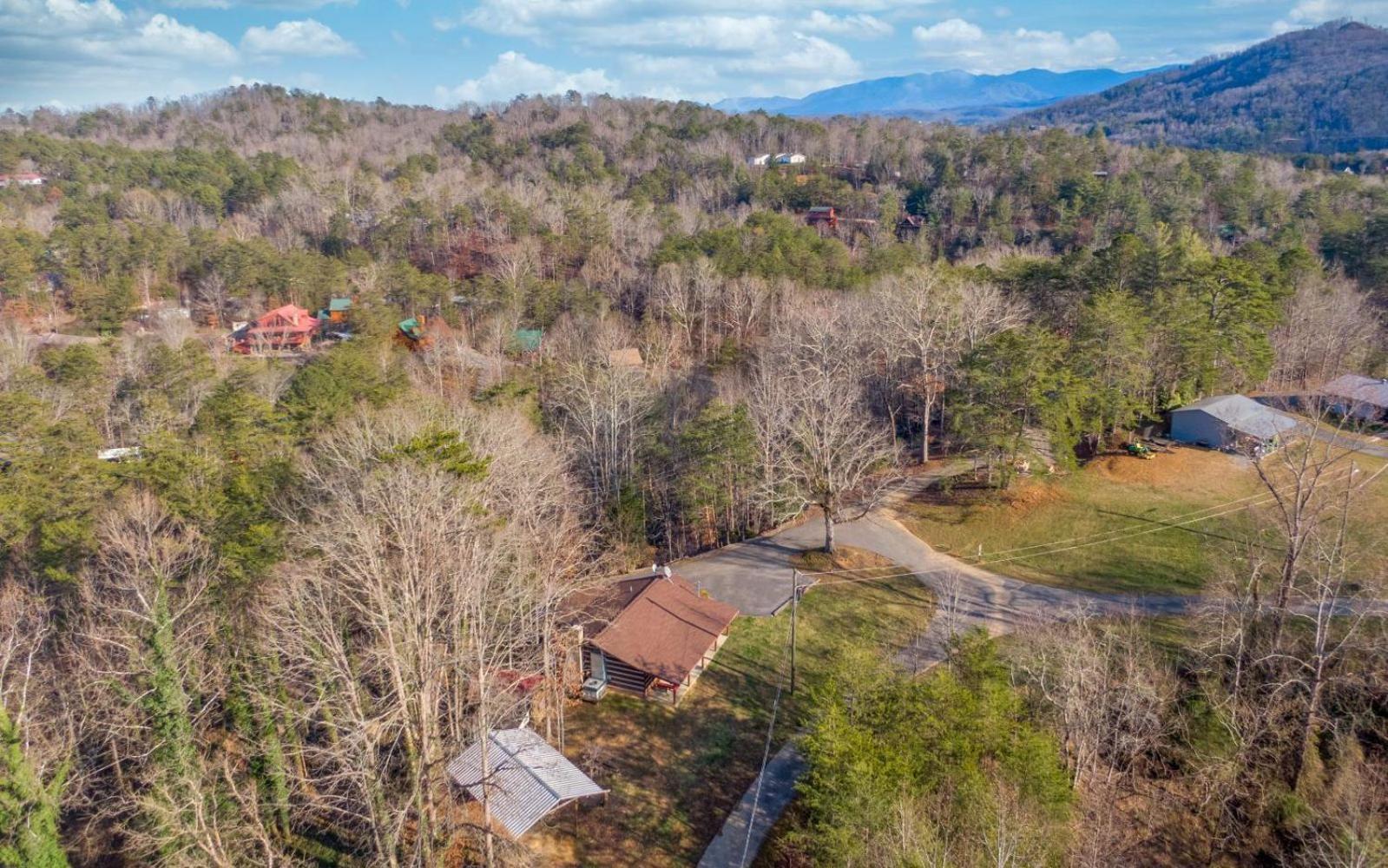 Wooded Bliss Hot Tub Single Level Cabin With No Steps Rocking Chairs And Wooded Views Піджен-Фордж Екстер'єр фото